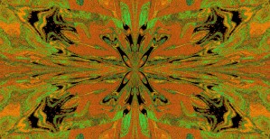 Abstract Butterfly 47
